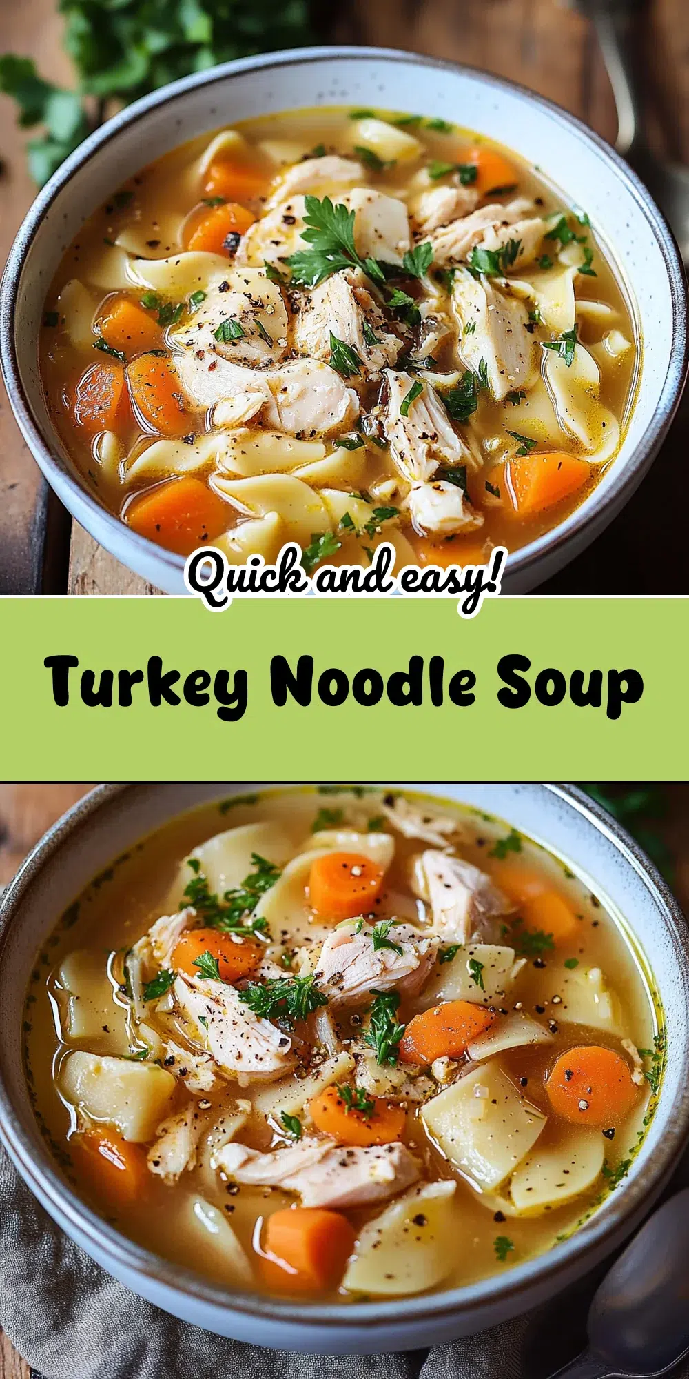 Turkey Noodle Soup
