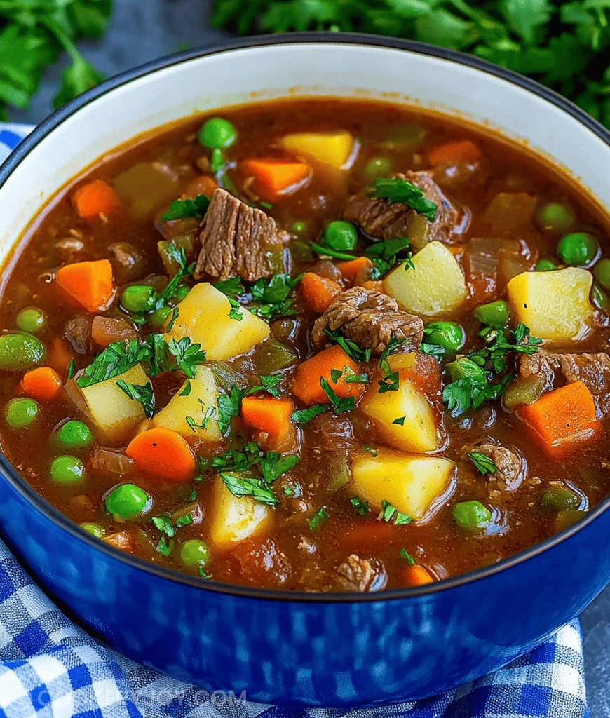 Vegetable Beef Soup