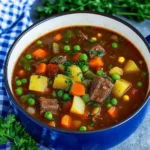 Vegetable Beef Soup