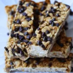 Sourdough Granola Bars